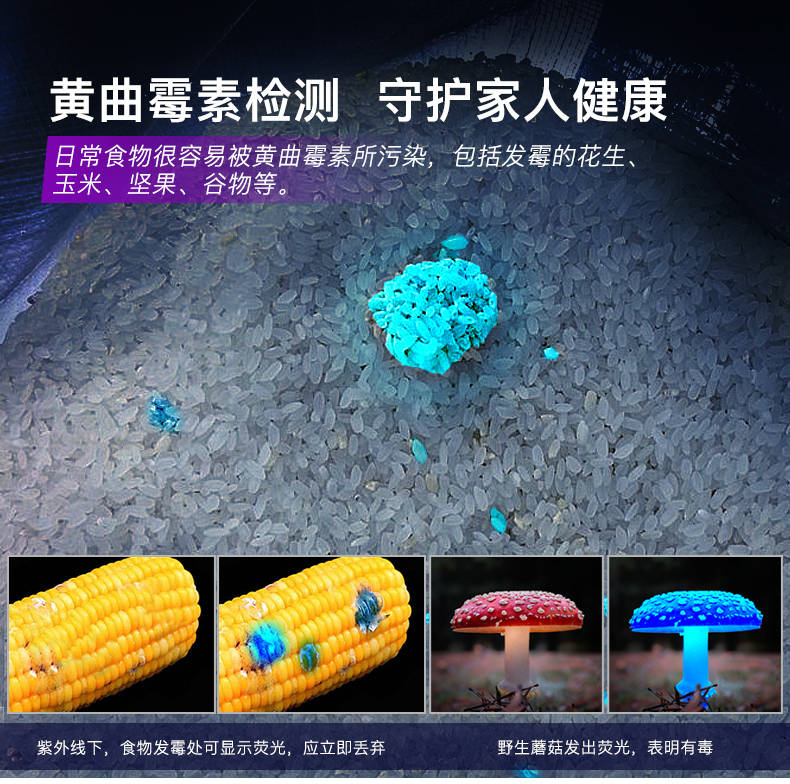 手電筒廠(chǎng)家